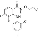 Merck PD184352