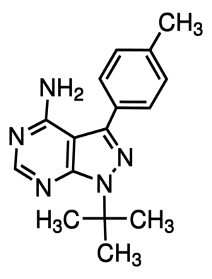 Merck PP1