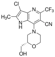 Merck PF-06869206