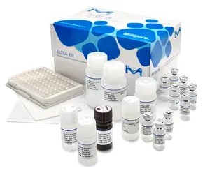 Merck Human GIP (total) ELISA