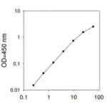 Merck Rat CRP/C-Reactive Protein ELISA Kit