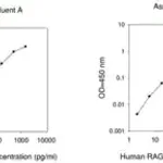 Merck Human RAGE / AGER ELISA Kit