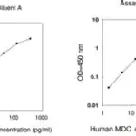 Merck Human MDC / CCL22 ELISA Kit