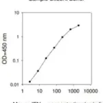Merck Mouse IFN-γ ELISA Kit
