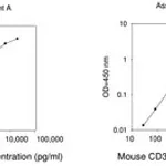Merck Mouse CD36 ELISA Kit