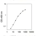 Merck Mouse VEGF ELISA Kit