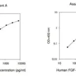 Merck Human FGF19 / Fibroblast Growth Factor 19 ELISA Kit