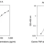 Merck Canine TNF / Tumor Necrosis Factor ELISA Kit