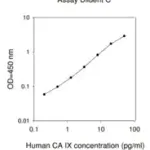 Merck Human Carbonic Anhydrase IX ELISA Kit