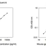 Merck Mouse Il6st / Interleukin-6 Receptor Subunit Beta ELISA Kit