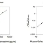 Merck Mouse Lgals1 / Galectin-1 ELISA Kit