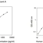 Merck Human PLAU / Urokinase-type Plasminogen Activator ELISA Kit