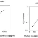 Merck Human PRSS27 / Serine Protease 27 ELISA Kit