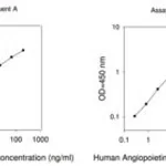 Merck Human ANGPT4 / Angiopoietin-4 ELISA Kit