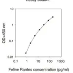 Merck Feline CCL5 / C-C Motif Chemokine 5 ELISA Kit