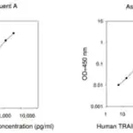 Merck Human TRAIL R4 ELISA Kit