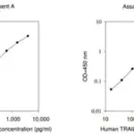 Merck Human TRAIL R3 ELISA Kit