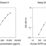Merck Human GITR / TNFRSF18 ELISA Kit