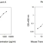 Merck Mouse TRANCE ELISA Kit