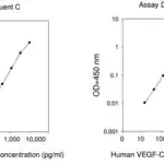 Merck Human VEGF-C ELISA Kit