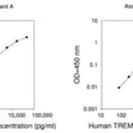 Merck Human TREM-1 ELISA Kit
