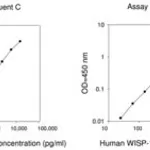 Merck Human WISP-1 / CCN4 ELISA Kit