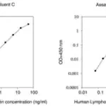 Merck Human Lymphotactin / XCL1 ELISA Kit