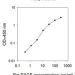 Merck Rat RAGE / AGER ELISA Kit
