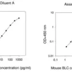 Merck Mouse BLC / CCL13 ELISA Kit