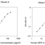 Merck Human MCP-4 / CCL13 ELISA Kit