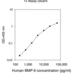 Merck Human BMP-6 ELISA Kit