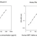 Merck Human MIP-1 δ / CCL15 ELISA Kit