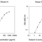 Merck Human Eotaxin-2 / CCL24 ELISA Kit