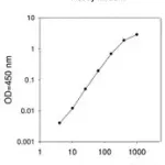 Merck Mouse MIP-3 β / CCL19 ELISA Kit