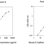 Merck Mouse E-Cadherin ELISA Kit