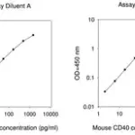 Merck Mouse CD40 ELISA Kit