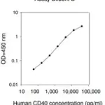 Merck Human CD40 ELISA Kit