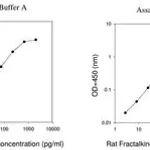 Merck Rat Fractalkine ELISA Kit