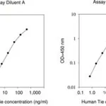 Merck Human Tie-1 ELISA Kit