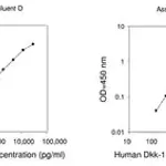 Merck Human Dkk-1 ELISA Kit