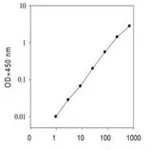 Merck Human Decorin ELISA Kit