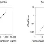 Merck Human CD23 / Fc ε RII ELISA Kit