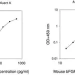 Merck Mouse bFGF ELISA Kit