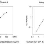 Merck Human IGFBP-4 ELISA Kit