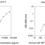 Merck Human IGFBP-6 ELISA Kit