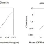 Merck Mouse IGFBP-6 ELISA Kit