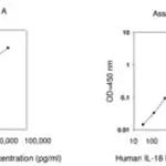 Merck Human IL-18 BPa ELISA Kit