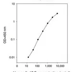 Merck Human IL-17F ELISA Kit