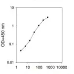 Merck Mouse IL-28A/B ELISA