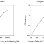 Merck Human Galectin-7 ELISA Kit